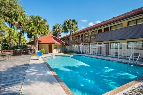 Rodeway Inn Tampa near Busch Gardens-USF - image 10