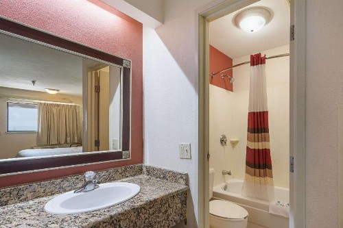 Rodeway Inn Tampa near Busch Gardens-USF - image 13