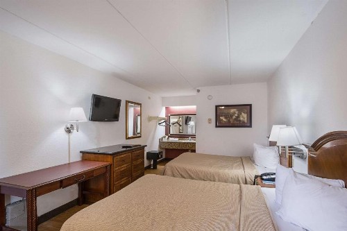 Rodeway Inn Tampa near Busch Gardens-USF - image 14