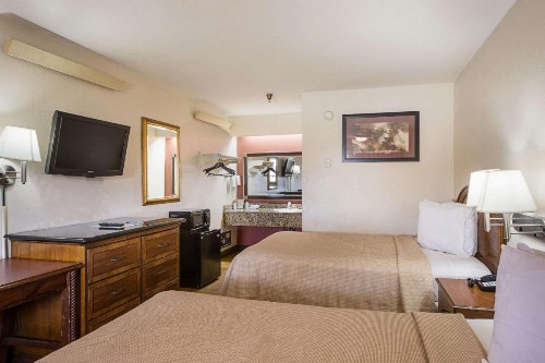 Rodeway Inn Tampa near Busch Gardens-USF - image 15