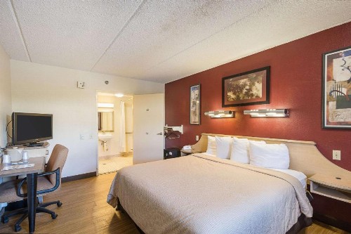 Rodeway Inn Tampa near Busch Gardens-USF - image 18