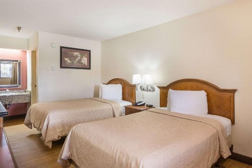 Rodeway Inn Tampa near Busch Gardens-USF - image 2