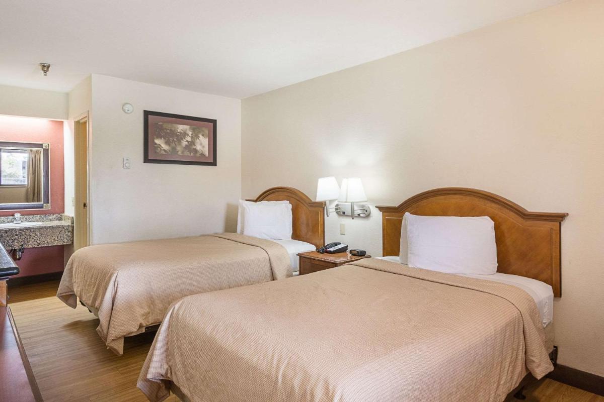 Rodeway Inn Tampa near Busch Gardens-USF - image 2