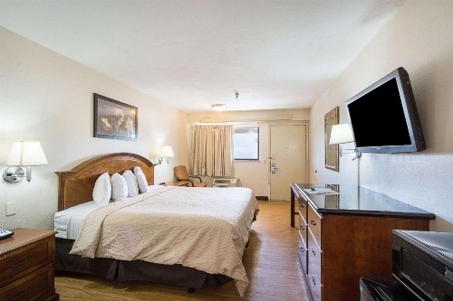 Rodeway Inn Tampa near Busch Gardens-USF - image 24