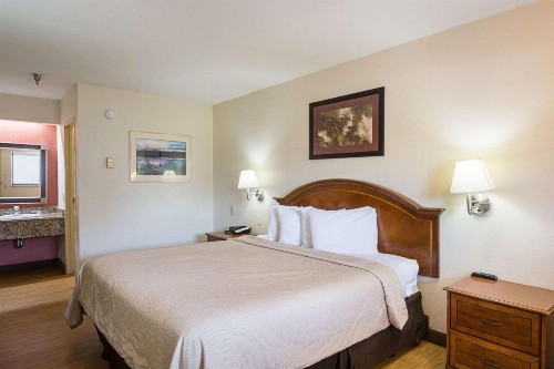 Rodeway Inn Tampa near Busch Gardens-USF - image 25
