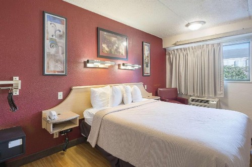 Rodeway Inn Tampa near Busch Gardens-USF - image 9