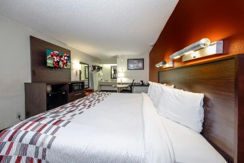 Red Roof Inn Tampa - Brandon - image 10