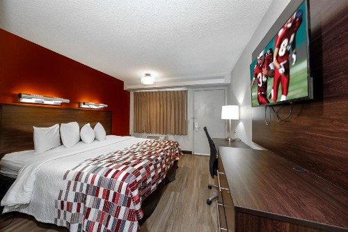 Red Roof Inn Tampa - Brandon - image 19