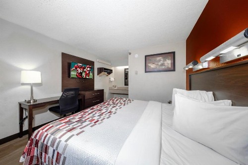 Red Roof Inn Tampa - Brandon - image 20