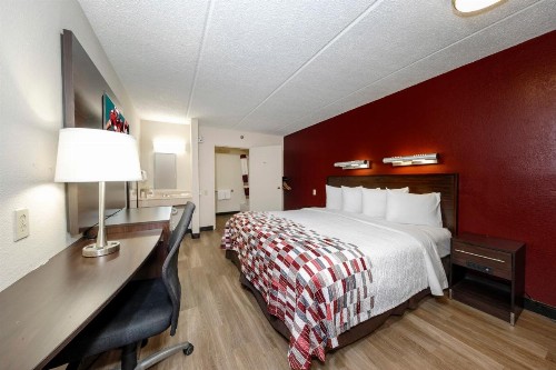 Red Roof Inn Tampa - Brandon - image 21