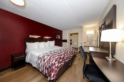 Red Roof Inn Tampa - Brandon - image 24