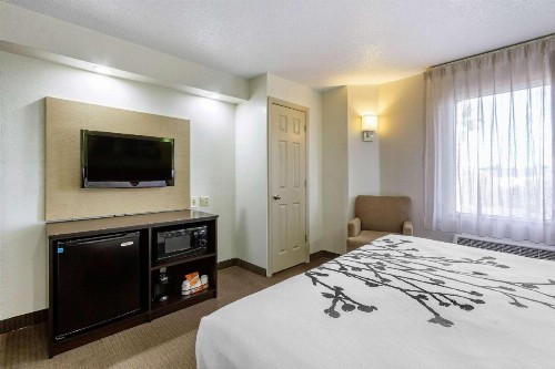 Sleep Inn near Busch Gardens - USF - image 17