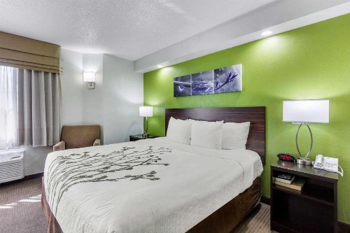 Sleep Inn near Busch Gardens - USF - image 21