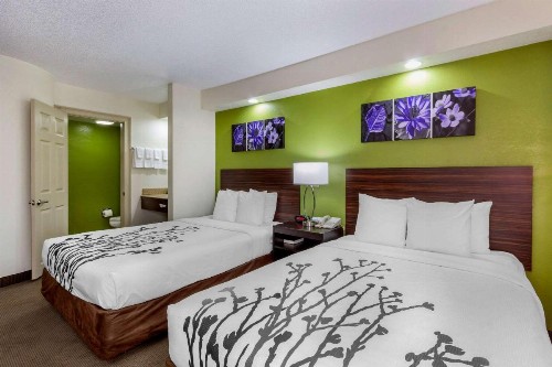 Sleep Inn near Busch Gardens - USF - image 28