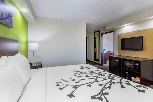 Sleep Inn near Busch Gardens - USF - image 3