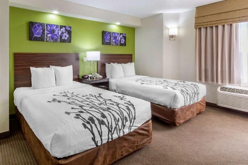 Sleep Inn near Busch Gardens - USF - image 32