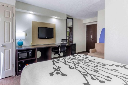 Sleep Inn near Busch Gardens - USF - image 33