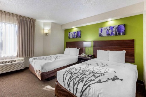 Sleep Inn near Busch Gardens - USF - image 4