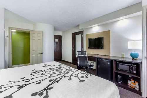 Sleep Inn near Busch Gardens - USF - image 5