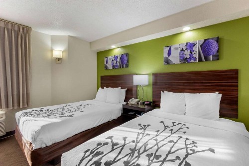 Sleep Inn near Busch Gardens - USF - image 9