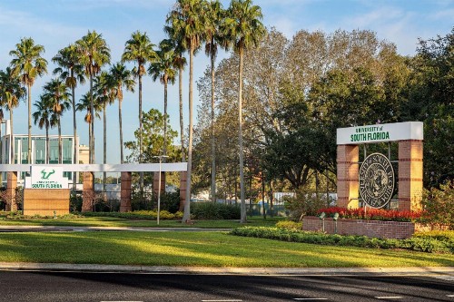 Hyatt Place Tampa Busch Gardens - image 2