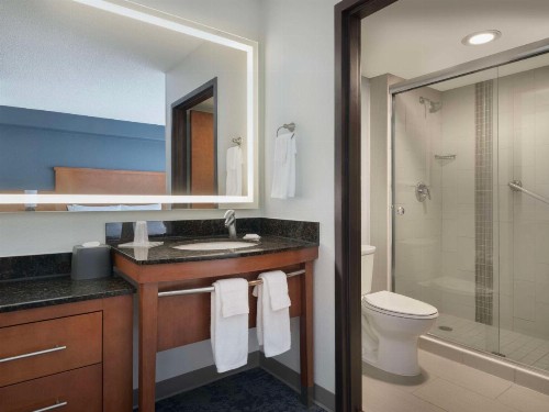 Hyatt Place Tampa Busch Gardens - image 7