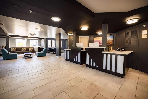 La Quinta Inn by Wyndham Tampa Near Busch Gardens - image 14
