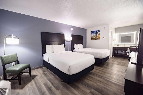 La Quinta Inn by Wyndham Tampa Near Busch Gardens - image 15