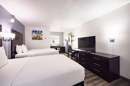 La Quinta Inn by Wyndham Tampa Near Busch Gardens - image 16