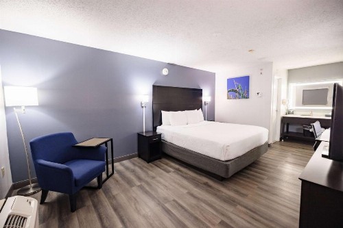 La Quinta Inn by Wyndham Tampa Near Busch Gardens - image 17