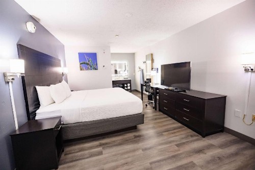 La Quinta Inn by Wyndham Tampa Near Busch Gardens - image 18