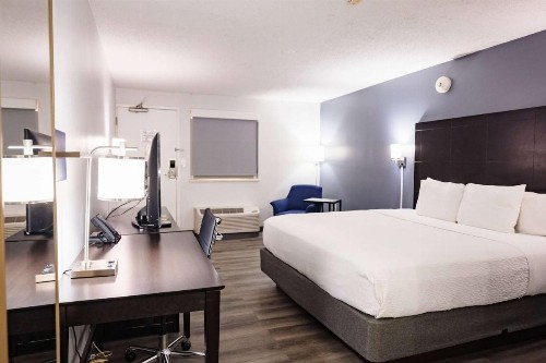 La Quinta Inn by Wyndham Tampa Near Busch Gardens - image 20
