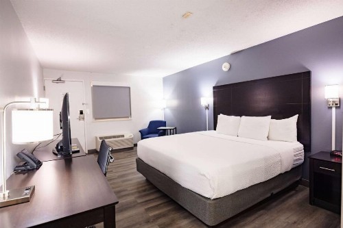 La Quinta Inn by Wyndham Tampa Near Busch Gardens - image 21