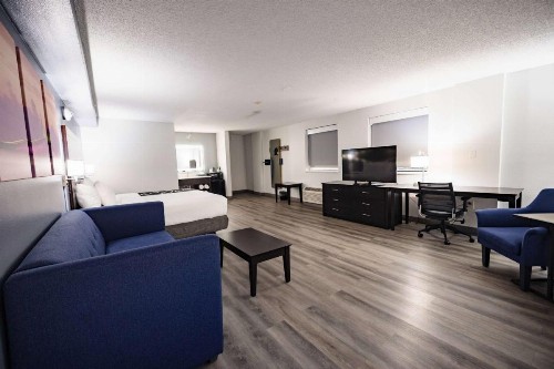 La Quinta Inn by Wyndham Tampa Near Busch Gardens - image 22