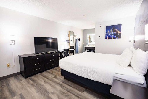 La Quinta Inn by Wyndham Tampa Near Busch Gardens - image 23