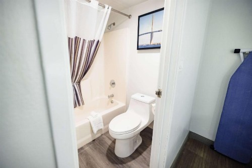 La Quinta Inn by Wyndham Tampa Near Busch Gardens - image 34