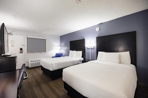 La Quinta Inn by Wyndham Tampa Near Busch Gardens - image 50