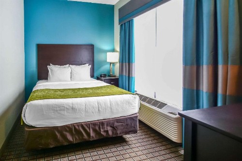 Comfort Suites Tampa/Brandon - image 9