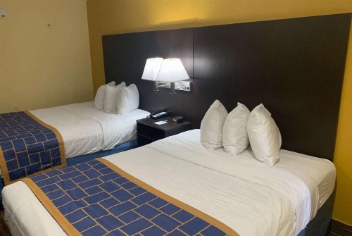 Days Inn & Suites by Wyndham Tampa / Raymond James Stadium - image 4