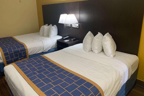Days Inn & Suites by Wyndham Tampa / Raymond James Stadium - image 6