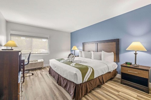 Quality Inn & Suites Near Fairgrounds & Ybor City - image 15
