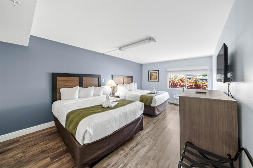 Quality Inn & Suites Near Fairgrounds & Ybor City - image 46
