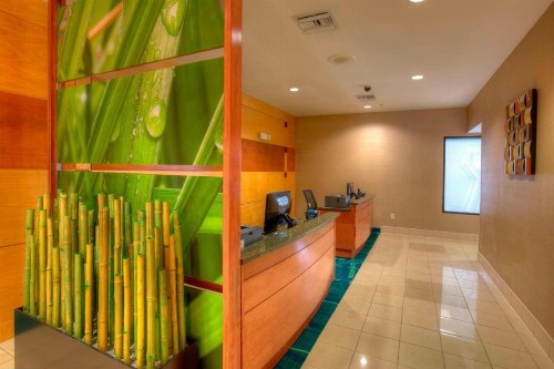 SpringHill Suites by Marriott - Tampa Brandon - image 10
