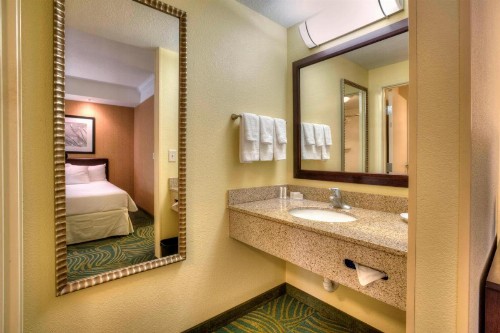SpringHill Suites by Marriott - Tampa Brandon - image 11