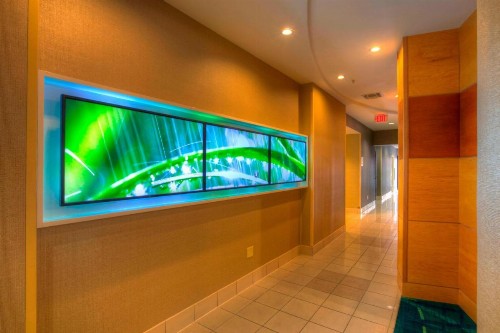 SpringHill Suites by Marriott - Tampa Brandon - image 2