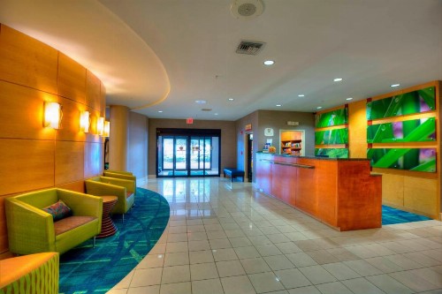 SpringHill Suites by Marriott - Tampa Brandon - image 4