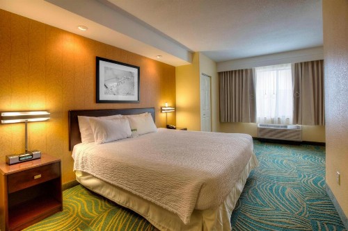 SpringHill Suites by Marriott - Tampa Brandon - image 6
