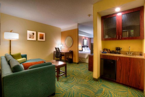 SpringHill Suites by Marriott - Tampa Brandon - image 8