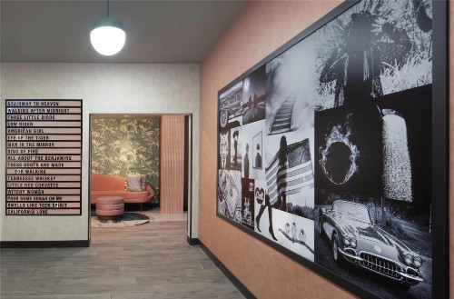 Comfort Suites Tampa Fairgrounds - Casino - image 35