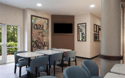 Comfort Suites Tampa Fairgrounds - Casino - image 38